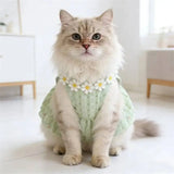 Dog Fresh Solid Color Daisy Lace Collar Sling Dress Light Airy Waffle Fabric Daily Walking Princess Outfit