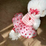 Cute Pet Dog Dress Cherry Strawberry Print Dog Clothes Suspender Skirt Chihuahua French Bulldog Cat Clothing Girls Dog Costume