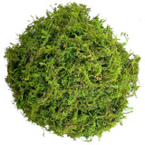 Popxstar Artificial Moss Green for Potted Plant Orchid Potting Mix Peat Moss Pole Craft