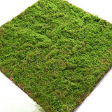 Popxstar Artificial Moss Carpet FineTurf Synthetic Grassland Fake Grass Lawn Roll Mat Faux Muscus Grass Outdoor Decoration Garden Decor