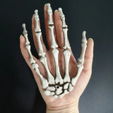 Popxstar 1 Pairs Halloween Decoration Props Halloween Decoration Realistic Life Size Skeleton Hands Plastic Human Hand Bone Plastic Hands