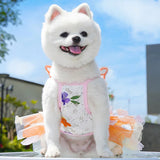 Rainbow Butterfly Wing Pet Tutu Dress Lace‑Trimmed Sleeveless Outfit For Small Dogs Cats Summer Wear