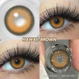 Popxstar  2pcs Blue Green Contact Lenses Yearly New Colored Lens Brown Natural Cosmetic Gray Big Eyes Korean Student Beauty Pupil