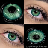 Yearly Use black Color Contact Lenses Cosmetic Natural Contact Lenses Soft Eye Lenses Beauty Pupils 1 Pair 14.2mm