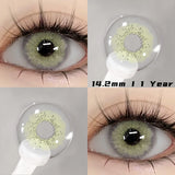 Popxstar 2pcs Natural Color Contact Lenses for Eyes Gray Lenses Colorcont Korean Lenses Yearly Beauty Brown Eye Contacts Lens
