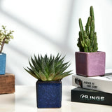 Jelly color Ice cracked glaze ceramic small flowerpot flower pot plant pot planter square home office desktop artwork ornament
