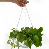Popxstar 6 Colors Christmas Decor Disco Ball Planter Vase Wall Hanging Planter Pot Flower Pots Rope Hanging Flowerpot Balcony Home Decor