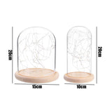 Popxstar  Glass dome bell jar display wooden base 20 LED fairy string lights home decoration bedroom desk night light Christmas gift