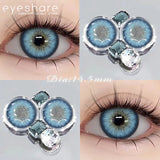 1 Pair Color Contact Lenses for Eyes Color Eye Lens Brown Eye Lenses  Gray Pupils Lens Yearly Black Contacts