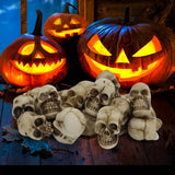 Popxstar 20pcs Mini Skulls Halloween Garden Decoration Bonsai Courtyard Ornam Small Skeleton Head Flowerpot Decor Realistic Skull Crafts