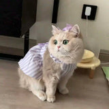 Spring Summer Princess Style Pet Dress, Thin Breathable Skirt for Cats and Small Dogs
