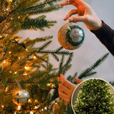 Popxstar shop party pieces 10-20M LED String Lights Fairy Green Wire Outdoor Christmas Light Tree Garland for New Year Street Home Party Wedding Decorion