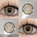 Popxstar 2pcs Natural Color Contact Lenses for Eyes Gray Lenses Colorcont Korean Lenses Yearly Beauty Brown Eye Contacts Lens