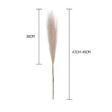 Popxstar 55CM 5/1PCS Fluffy Pampas Grass Boho Decor Flower Fake Plant Reed Simulated Wedding Party Christmas Home Decor Artificial Flower