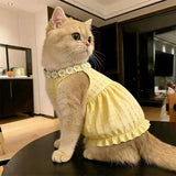 Dog Fresh Solid Color Daisy Lace Collar Sling Dress Light Airy Waffle Fabric Daily Walking Princess Outfit