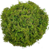 Popxstar Artificial Moss Green for Potted Plant Orchid Potting Mix Peat Moss Pole Craft