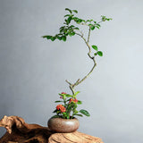 Ceramic Small Water Drop Flower Pot Vase Japanese Ikebana Flower Arrangement Device Zen Tea Table Desktop Utensils Ceramic Tools