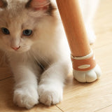 Popxstar  Cat Paw-Shaped Silicone Chair Leg Pads Anti-Slip Noise-Reducing Floor Protective Covers for Furniture Legs Noise-Reducing