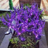 Solar Lavender Light Courtyard Light Suitable for Outdoor Garden Decoration Wind Swing Light Ground Insertion Lawn Light