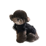 Pet Autumn Winter FashionLace Vest Flying Sleeve Breathable Dog Clothes Soft Cat Base Skirt Kitten Teddy Undershirt Cat T-shirt