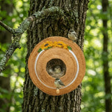 Creative Straw Hat Shape Bird House Wall-Mounted Circular Bird Breeding Box Handmade Decorative Hanging Bird Nest Backyard