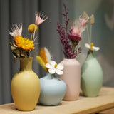 Popxstar  Modern Ceramic Vases Home Decor Dry Wet Flower Bottle Macaron Vases Desktop Ornament No Flower Livingroom Decor Accessories