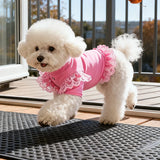 Pet Autumn Winter FashionLace Vest Flying Sleeve Breathable Dog Clothes Soft Cat Base Skirt Kitten Teddy Undershirt Cat T-shirt