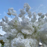 Popxstar White Cherry Blossom Rose Flower Row Runner Wedding Background Arch Deco Floral Arrangement Hanging Flower Row Centerpieces Ball