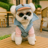 Adjustable Pet Visor Baseball Hat Multiple Patterns Denim Bow Bear Fruit Print Small Breed Dog Sun Protection Headwear