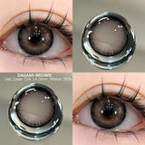 Popxstar  2pcs Colored Contact Lenses Brown Eyes Lenses Gray Lenses Blue Pupils Natural Eye Lens Colored Contacts Eye Cosmetics