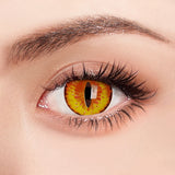 Popxstar 2Pcs/Pair Cosplay Color Contact Lenses for Eyes Anime Accessories Orange Pink Green Rainbow Lens Pupilentes