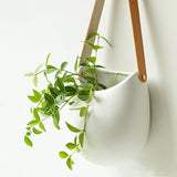 Popxstar  Simple Wall-mounted Hanging Basket Flower Pot Ceramic Dried Flower Vase Creative Flower Arrangement Green Plant Wall Hangings