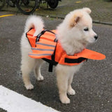 Dog All Water Scenes Wear Resistant Life Jacket High Flotation Foam For Pool Lake Sea & Yacht Boating Summer Trip