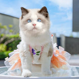 Rainbow Butterfly Wing Pet Tutu Dress Lace‑Trimmed Sleeveless Outfit For Small Dogs Cats Summer Wear