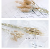 Popxstar New Year Valentine's Day Natural Barley Wheat Ears Lampranthus Rabbit Tail Grass Photography Accessories Photo Studio Props Background Backdrop Ornament