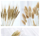 Popxstar New Year Valentine's Day Natural Barley Wheat Ears Lampranthus Rabbit Tail Grass Photography Accessories Photo Studio Props Background Backdrop Ornament