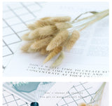 Popxstar New Year Valentine's Day Natural Barley Wheat Ears Lampranthus Rabbit Tail Grass Photography Accessories Photo Studio Props Background Backdrop Ornament