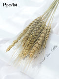 Popxstar New Year Valentine's Day Natural Barley Wheat Ears Lampranthus Rabbit Tail Grass Photography Accessories Photo Studio Props Background Backdrop Ornament