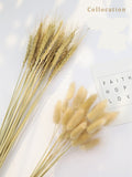 Popxstar New Year Valentine's Day Natural Barley Wheat Ears Lampranthus Rabbit Tail Grass Photography Accessories Photo Studio Props Background Backdrop Ornament