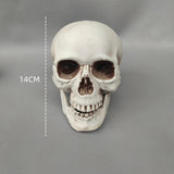 Popxstar 4pcs Horror Skull Foam Fake Tombstone Halloween Outdoor Ornaments Happy Halloween Party Decoration Props Haunted House Decors