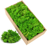 Popxstar 40g Simulation Artificial Moss Green Eternal Life Moss Grass Fake Plant For Home Wall Decor Garden Micro Landscape Material Gift