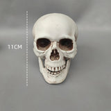 Popxstar 4pcs Horror Skull Foam Fake Tombstone Halloween Outdoor Ornaments Happy Halloween Party Decoration Props Haunted House Decors