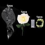 Popxstar 1set LED Luminous Rose Balloon with roses Transparent Bobo Ballon Valentines Bouquet Gift Bag Wedding Birthday Party Decorations