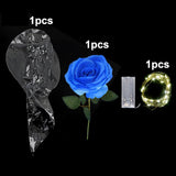 Popxstar 1set LED Luminous Rose Balloon with roses Transparent Bobo Ballon Valentines Bouquet Gift Bag Wedding Birthday Party Decorations