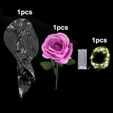 Popxstar 1set LED Luminous Rose Balloon with roses Transparent Bobo Ballon Valentines Bouquet Gift Bag Wedding Birthday Party Decorations