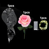 Popxstar 1set LED Luminous Rose Balloon with roses Transparent Bobo Ballon Valentines Bouquet Gift Bag Wedding Birthday Party Decorations