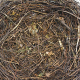 Popxstar 8-25cm Nature Bird Nest Easter Decoration DIY Handmade Craft Birds Nest for Easter Party Home Garden Decoration