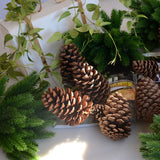 Popxstar 5 Pcs Artificial Plants Pine Branches Christmas Tree Accessories DIY New Year Party Decorations Xmas Ornaments Kids Gift A4520